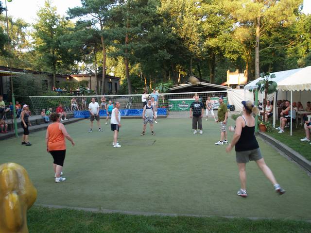 Volleybal